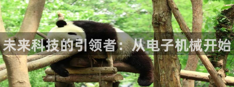 风暴娱乐5O6917
