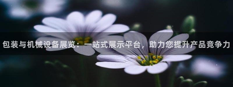娱乐风暴App