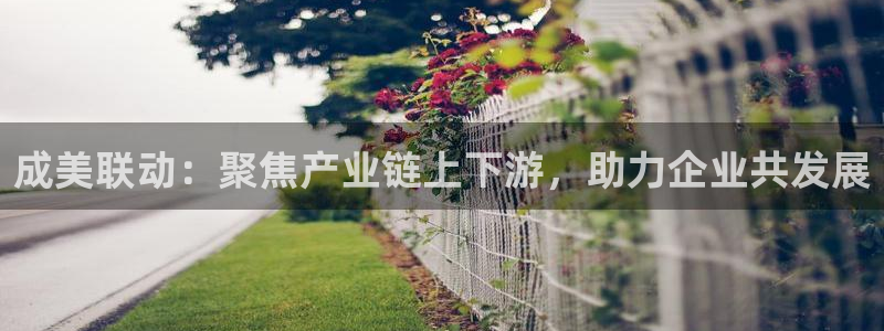 娱乐风暴开头