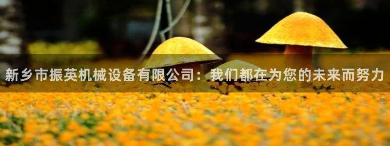 星风暴娱乐