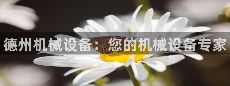 风暴娱乐下5指尖