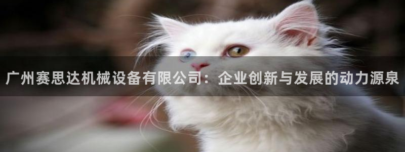 风暴娱乐月5指尖