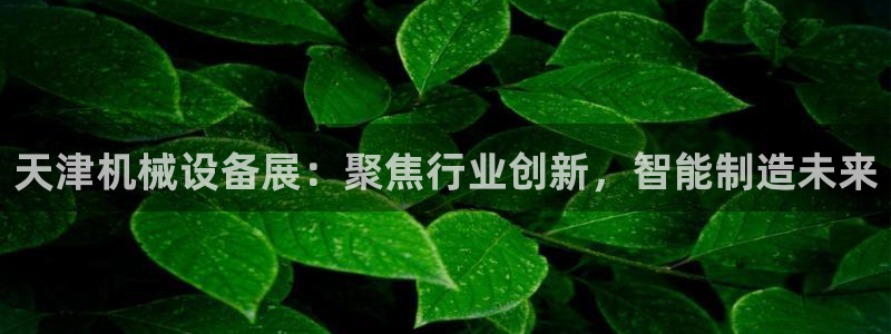 4120051风暴娱乐