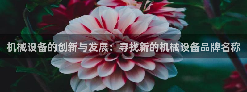 风暴娱乐网