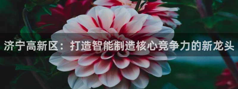 风暴娱乐求333OOf