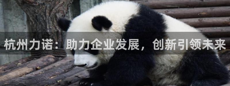 风暴娱乐右5指尖