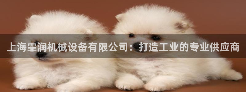 注册风暴娱乐