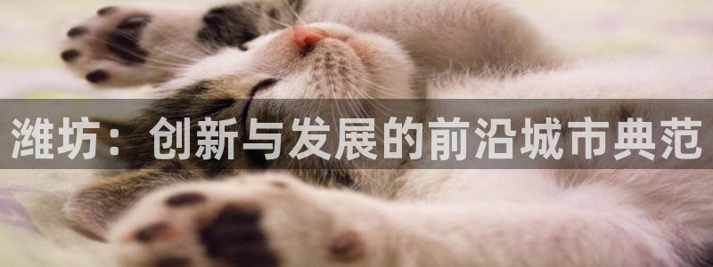 娱乐风暴港