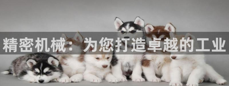 风暴娱乐主页