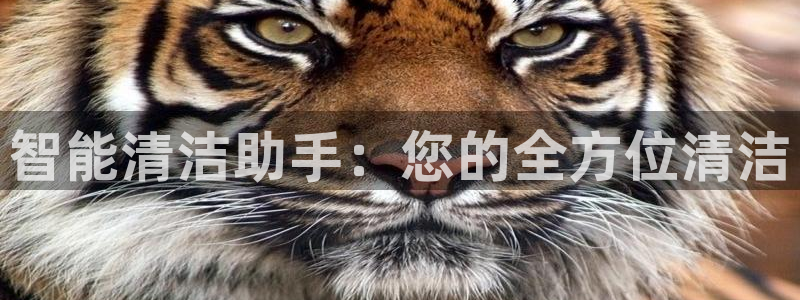 风暴娱乐实况