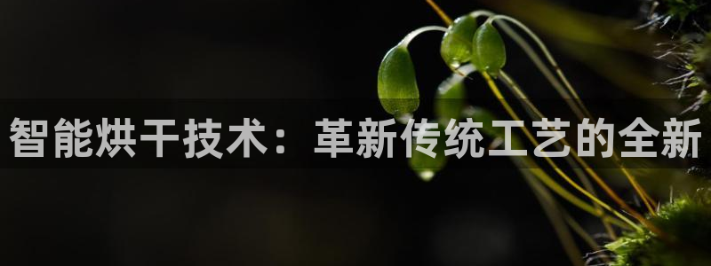 风暴平娱乐
