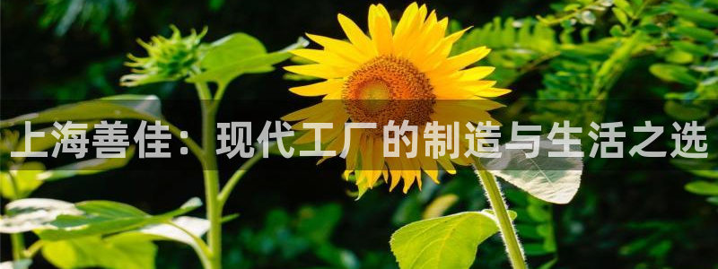 风暴娱乐号