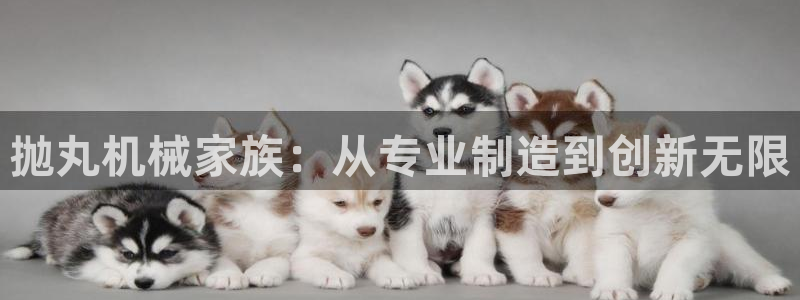 风暴娱乐客服
