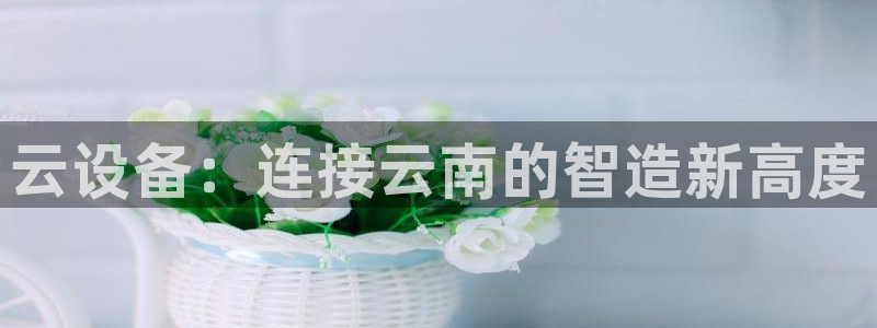 风暴数字娱乐