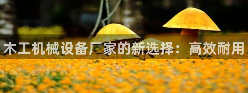 风暴娱乐1
