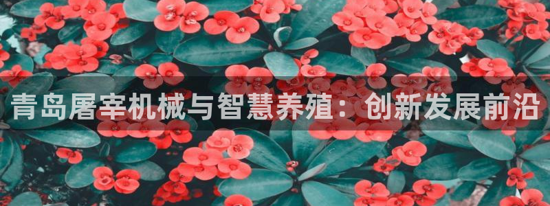 风暴娱乐1980