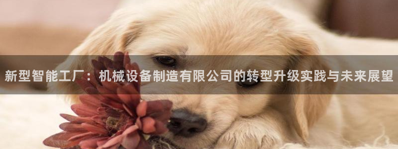 4120051风暴娱乐