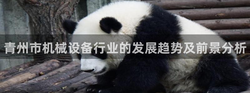 风暴官方娱乐