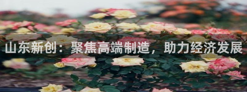 风暴英雄娱乐