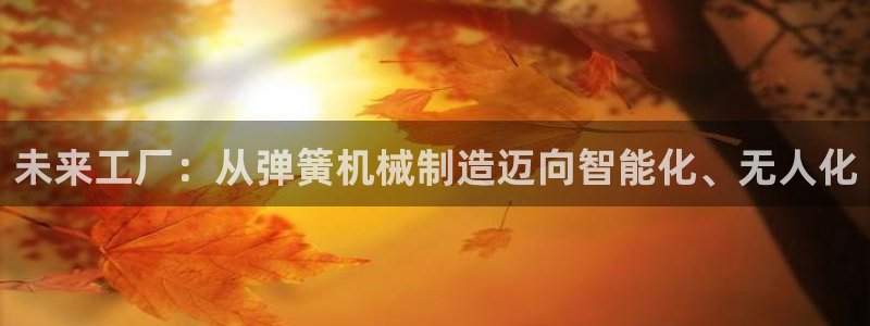 风暴娱乐主管是谁