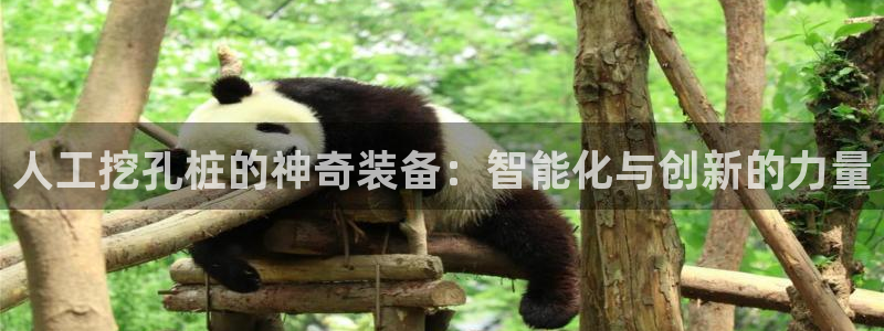 风暴娱乐园