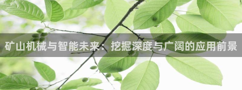 风暴娱乐fb
