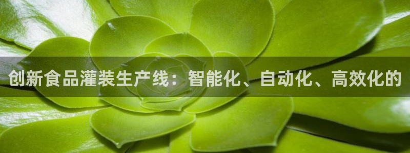 风暴娱乐待遇