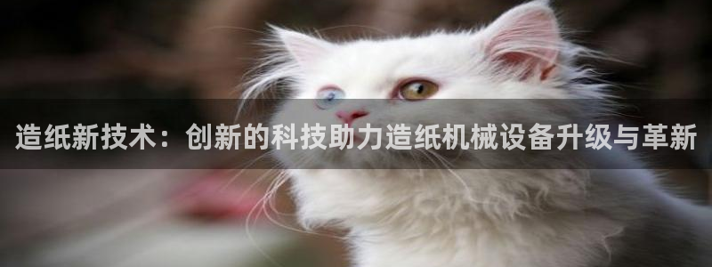 风暴娱乐点