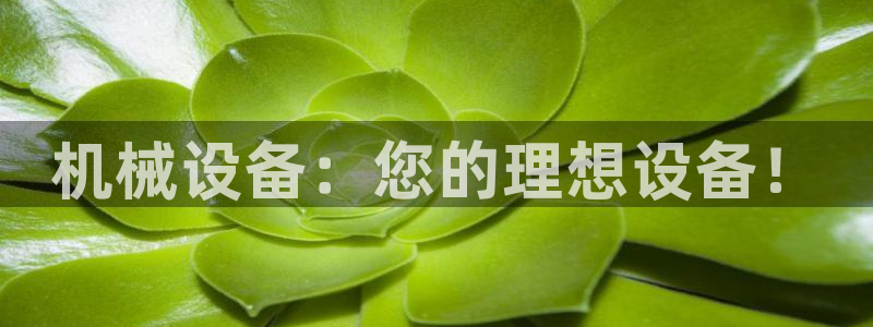 风暴娱乐自动挂