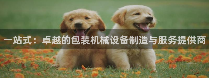 风暴娱乐求333OOc