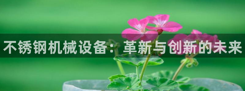 风暴娱乐官方网站