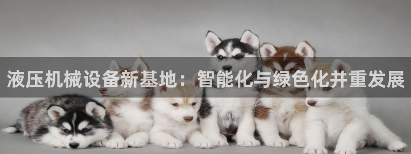 风暴娱乐登录网址